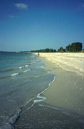 Muschelstrand im Norden von Captiva Island