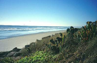 Strand von Cocoa Beach