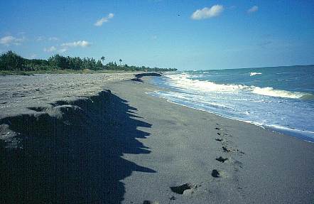 Strand von Jupiter