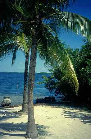 John Pennekamp Coral Reef State Park