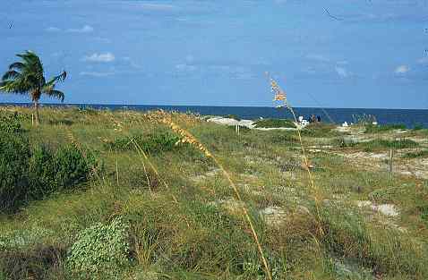 Strand von Key Biscayne