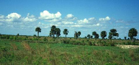 durchs Inland nach Fort Myers