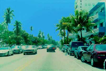 Palm Beach