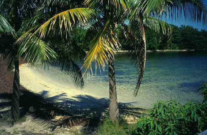John Pennekamp Coral Reef State Park